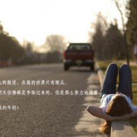 摇头摆尾十二生肖动物
